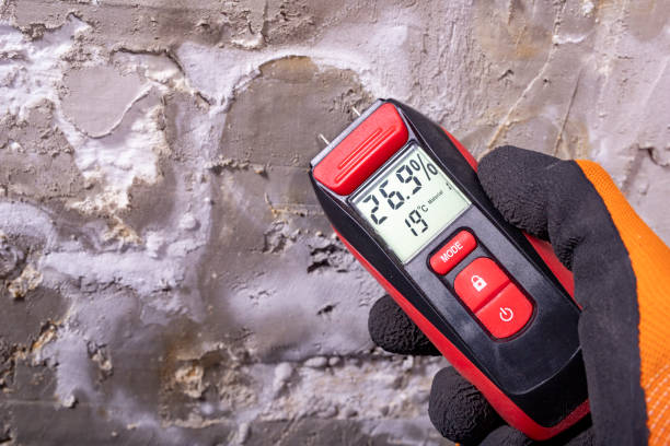 Best Toxic Mold Removal  in Corralitos, CA