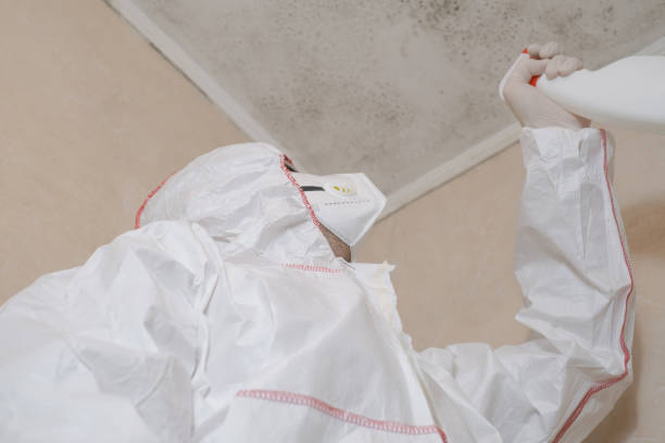 Best Crawl Space Mold Removal  in Corralitos, CA